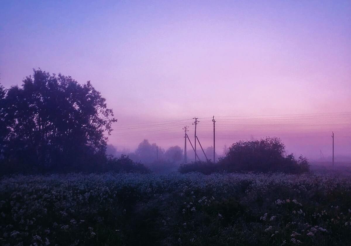 京沪相会乒乓球男团决赛 河北山东女团争冠